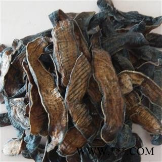 水蛭 大水蛭  选货 产地 黑龙江省鹤岗市图3