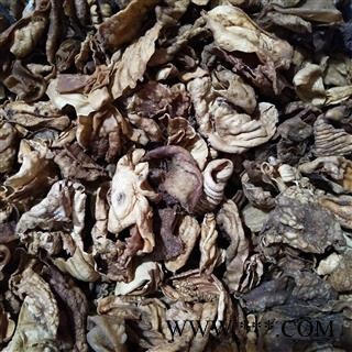 产地直销新货炒鸡内金，或干净无杂质，发货前过筛，实物拍摄图3