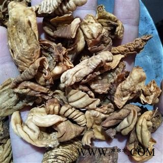 产地直销新货炒鸡内金，或干净无杂质，发货前过筛，实物拍摄图4