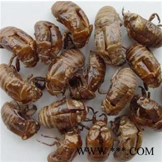 蝉蜕 保证质量蝉蜕净货 过筛，无杂质  产地 山东省图4