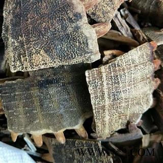 鳖甲 产地直销新货炒鳖甲没骨头，货好质量高，实物拍摄 产地 山东省济宁市任城区图2