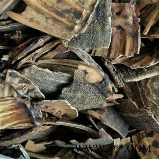 鳖甲 产地直销新货炒鳖甲没骨头，货好质量高，实物拍摄 产地 山东省济宁市任城区图1