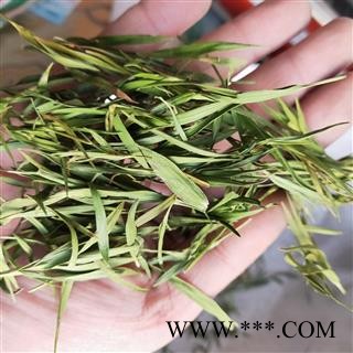 竹叶青 新货竹叶青选货 产地 四川省图4