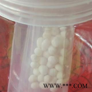 肾精子  结石 猪肾精子图2