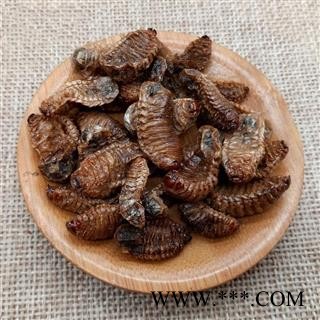 蛴螬 土蚕虫子 老母虫 核桃虫 粪虫 中药材图4