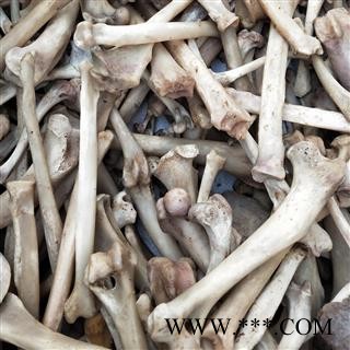 瑞森药材行狗骨头干货狗骨头 狗骨干净无肉图2