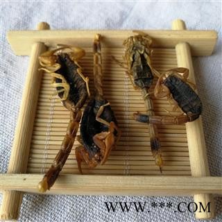 九盛堂中药材  全蝎 蝎子 淡盐 瘪肚图3