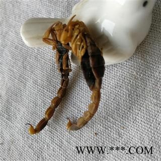 九盛堂中药材  全蝎 蝎子 淡盐 瘪肚图4