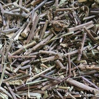 批发供应猫须草 （肾茶） 排石图2