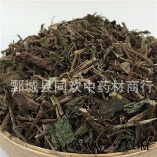 【绞股蓝草】@【同欢药材】中药材批发供应  规格齐全 量大从优  产地 四川省图2