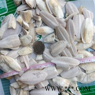 海螵蛸 海螵蛸小选货 产地 海外图2