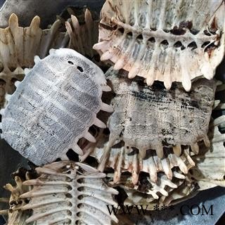 鳖甲 鳖甲陈货统货 产地 山东省图4