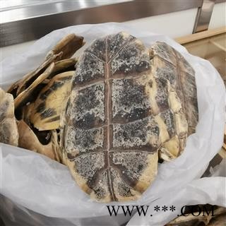瑞森药材行龟壳 龟板旱龟板 河龟板  保含量河板统货产地湖北图2