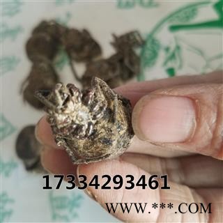 蝇虎 大黑蜘蛛 药用 蜘蛛 黑蜘蛛 狼蛛 圆蛛网虫 扁蛛园蛛图2