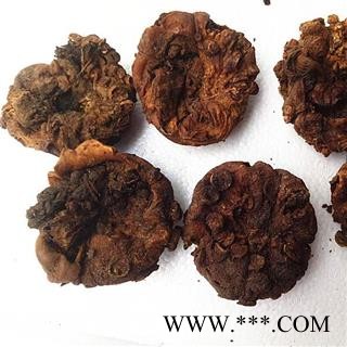 干羊胎盘羊胎素 紫河车粉中药材图2