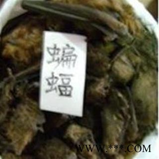 圣草康园 蝙蝠 天鼠、挂鼠、天蝠、老鼠皮翼、飞鼠 新货图2