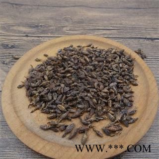 九盛堂中药材  牯牛 睡虫 沙谷牛 沙牛 蚁狮 砂牛虫 金沙牛图2