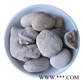 九盛堂中药材 狗宝  狗结石 狗黄金 金蛋子图2