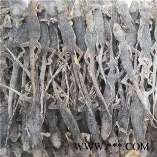 诺源药材行中药材优质国产壁虎 另有进口货图3