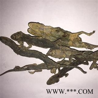 诺源药材行中药材优质国产壁虎 另有进口货图2