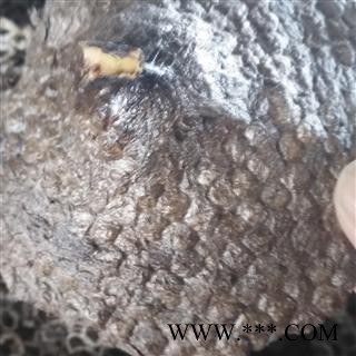 诺源药材行蜂房 露蜂房 蜂肠 马蜂窝 蜂巢 马蜂包图3