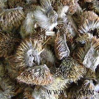 新辉药业正品刺猬皮图2