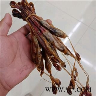 新辉药业羊鞭 牛鞭 另有狗鞭 貂鞭图2