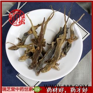 壁虎统货 广西壁虎 药典正品 中药材 瑞芝堂产地直供1000克 规格齐全 一站购齐图2