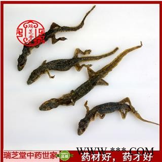 壁虎统货 广西壁虎 药典正品 中药材 瑞芝堂产地直供1000克 规格齐全 一站购齐图4