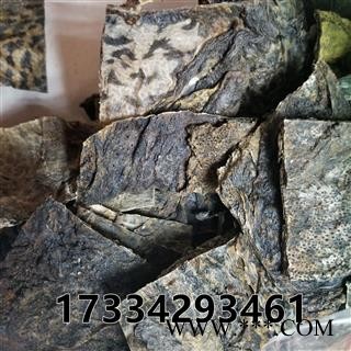 蟾皮  蟾壳 蟾蜕 蛤蚆皮 癞蟆皮图3