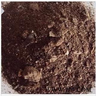 瑞森药材行夜明砂  蝙蝠粪图2