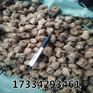 桑螵蛸 蜱蛸 桑蛸 螵蛸 熟桑螵蛸 中药材图3