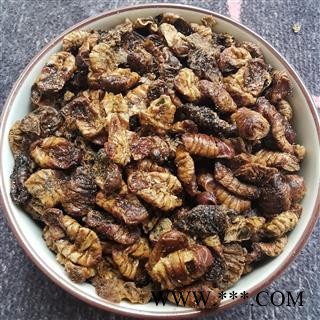 中药材蚕蛹 小蜂儿蚕蛹干 蚕蛹干 雄树蚕蛹图2