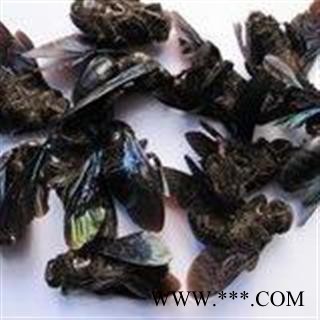 诺源药材行中药材竹蜂  清水竹蜂 产地广西图2