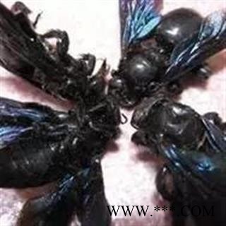 诺源药材行中药材竹蜂  清水竹蜂 产地广西图3