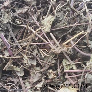 瑞森药材行连钱草  活血丹 金钱草 落地金钱 透骨消神仙对坐草 地蜈蚣 铜钱草图2