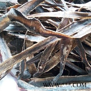 地龙 广地龙全开个 产地 广东省图3