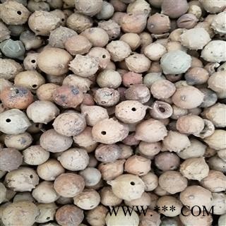 没食子 统 产地 海外没食子 正品 墨石子 无食子 没石子 无石子 麻茶泽图2