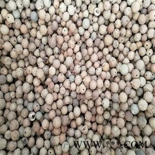 没食子 统 产地 海外没食子 正品 墨石子 无食子 没石子 无石子 麻茶泽图3