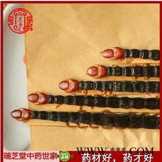 蜈蚣 蜈蚣中条选货12-14cm (25条/件)  产地 湖北省 瑞芝堂直销图2
