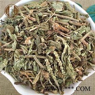 车前草 车前草新货 产地 山东省图2