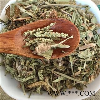 车前草 车前草新货 产地 山东省图3