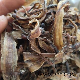 地龙 上海 沪地龙 中大开 关书药业 产地 上海市市辖区图2