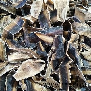 地龙 广地龙半开片 产地 广西壮族自治区图4