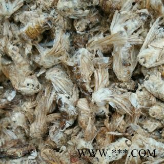 雄蚕蛾 雄蚕蛾统货 产地 河北省保定市图2