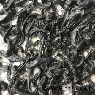 圣草康园水蛭 柳叶水蛭，清水干货，图2