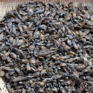 圣草康园牛虻虫  陕西 不掺假 蜚虻 牛蚊子 牛苍蝇 瞎虻虫新货大个图2