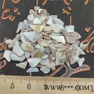 珍珠母 珠牡丹珠母真珠母蚌壳珠牡丹图3