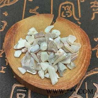 珍珠母 珠牡丹珠母真珠母蚌壳珠牡丹图4