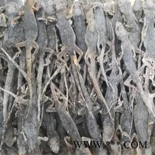 新辉药业优质国产壁虎  另有进口壁虎 一盒500克图2